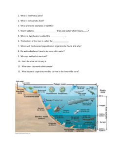Questions for River System Anatomy
