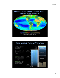 Lab 7 Presentation slides