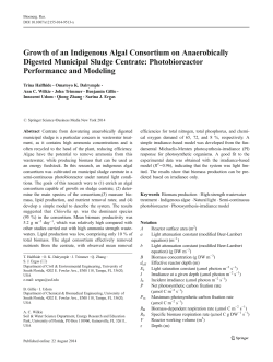 Growth of an Indigenous Algal Consortium on