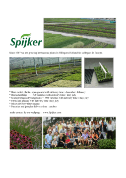 Since 1907 we are growing herbaceous plants in Hillegom