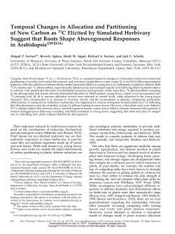 Temporal Changes in Allocation and Partitioning of New Carbon as
