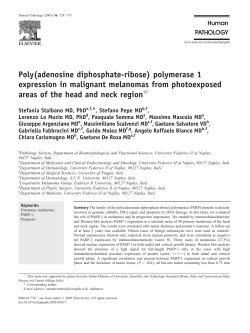 Poly(adenosine diphosphate-ribose) polymerase 1 expression in