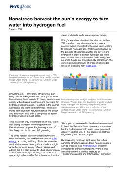 Nanotrees harvest the sun`s energy to turn water into hydrogen fuel