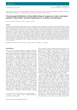 Chromosomal distribution of interstitial telomeric sequences in nine