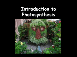 Photosynthesis