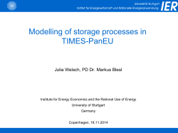 Modelling of storage processes in TIMES-PanEU - IEA