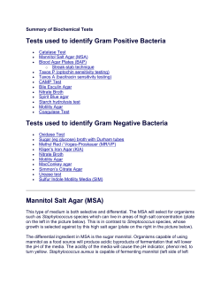 Nitrate Broth