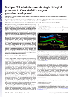 Multiple ERK substrates execute single biological processes in