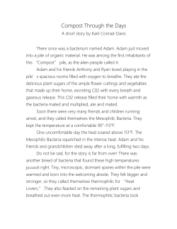 Compost Through The Days