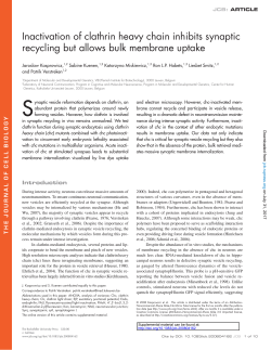 Inactivation of clathrin heavy chain inhibits synaptic recycling but