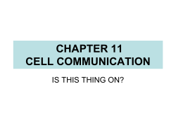 CHAPTER 11 CELL COMMUNICATION