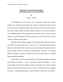 Dynamics of social media, politics and public