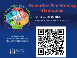 Executive Functioning Strategies
