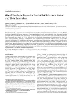 Global Forebrain Dynamics Predict Rat Behavioral States and Their
