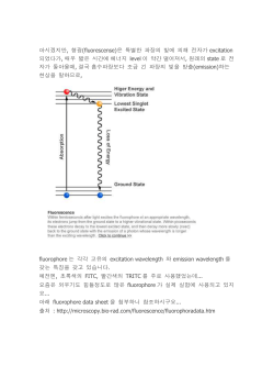 아시겠지만, 형광(fluorescense)은 특별한 파장의 빛에 의해