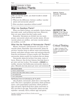 untitled - American Academy