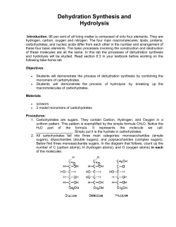 Dehydration Synthesis and Hydrolysis