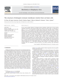 The structure of detergent-resistant membrane vesicles from rat