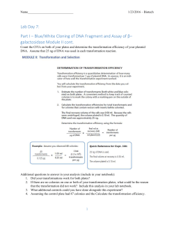 Part II &ndash; Blue/White Cloning of DNA Fragment and