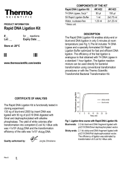 Rapid DNA Ligation Kit - Thermo Fisher Scientific