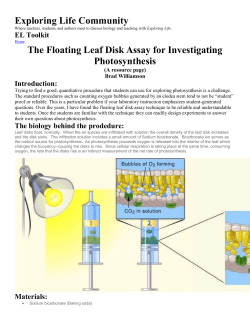 Floating Leaf Photosynthesis