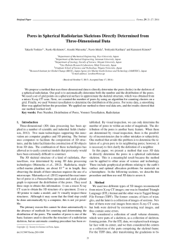 Pores in Spherical Radiolarian Skeletons Directly