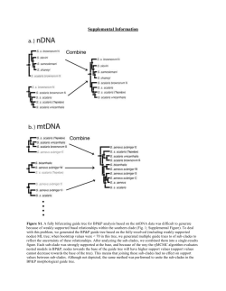 Supplemental Information Figure S1. A fully bifurcating guide tree for