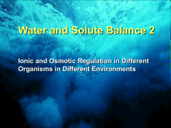 EVOLUTION: Unifying Concept in Biology