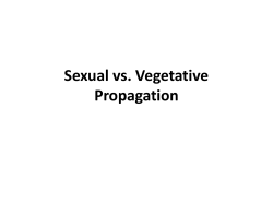Sexual vs. Vegetative Propagation