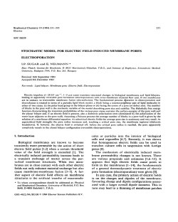 STOCHASTIC MODEL FOR ELECTRIC FIELD