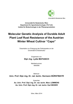 Molecular Genetic Analysis of Durable Adult Plant Leaf Rust