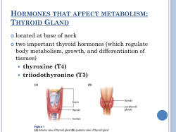 Hormones That Affect Metabolism-ppt