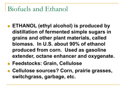 Ethanol - Iowa State University Department of Economics