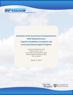 Evaluation of the Government of Saskatchewan`s FASD