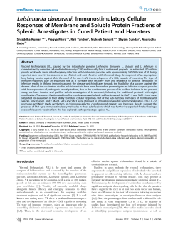 Leishmania donovani: Immunostimulatory Cellular