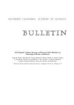 Soil Organic Carbon Storage in Restored Salt Marshes in