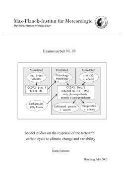 Model studies on the response of the terrestrial carbon cycle to