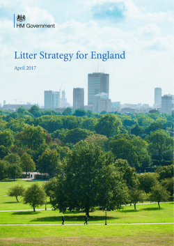 HM Government Litter Strategy for England April 2017