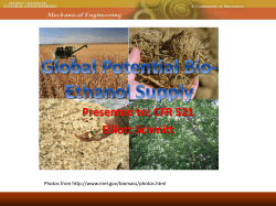 Global Bioethanol Supply
