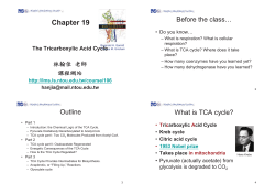 Chapter 19