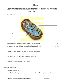 Name Use your notes and previous worksheets to answer the