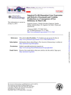 Deficiency in Mast Cells Production as a Consequence of Fyn and
