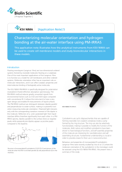 Characterizing molecular orientation and hydrogen