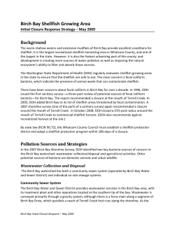 Birch Bay Initial Closure Response Strategy