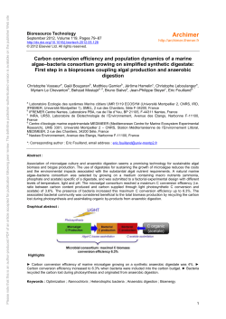 Carbon conversion efficiency and population - Archimer