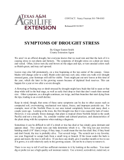 May 2017 &ndash; Symptoms of Drought Stress by Ginger Easton Smith
