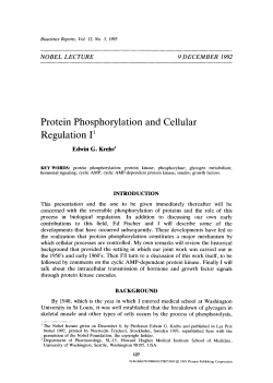 Protein phosphorylation and cellular regulation I