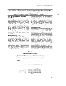 Key enzymes in the biosynthesis of purines and pyrimidines: their