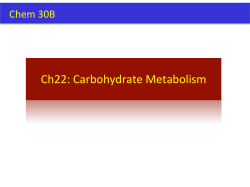 Ch22: Carbohydrate Metabolism