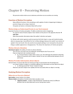 Function of Motion Perception